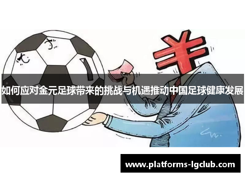 如何应对金元足球带来的挑战与机遇推动中国足球健康发展