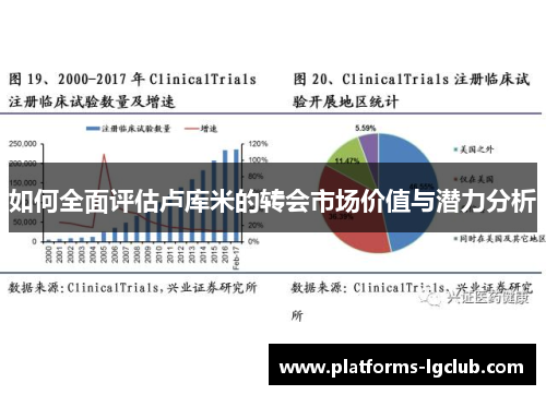 如何全面评估卢库米的转会市场价值与潜力分析