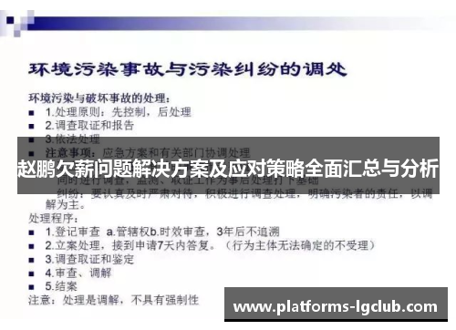 赵鹏欠薪问题解决方案及应对策略全面汇总与分析 赵鹏欠薪问题解决方案及应对策略全面汇总与分析