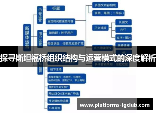 探寻斯坦福桥组织结构与运营模式的深度解析