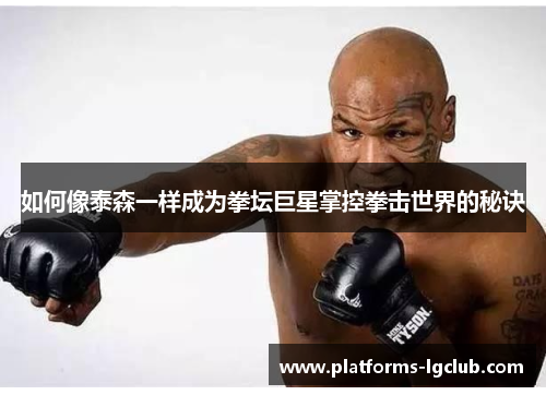 如何像泰森一样成为拳坛巨星掌控拳击世界的秘诀 如何像泰森一样成为拳坛巨星掌控拳击世界的秘诀