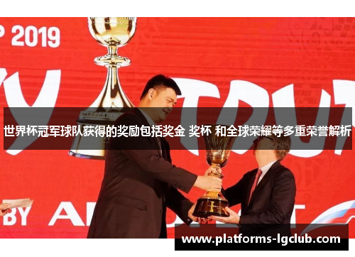 世界杯冠军球队获得的奖励包括奖金 奖杯 和全球荣耀等多重荣誉解析