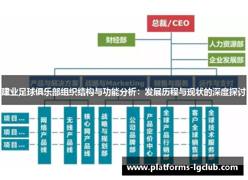 建业足球俱乐部组织结构与功能分析：发展历程与现状的深度探讨