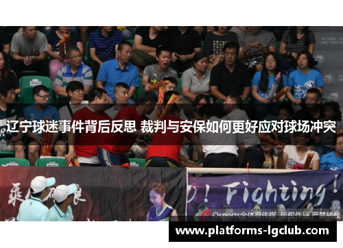 辽宁球迷事件背后反思 裁判与安保如何更好应对球场冲突
