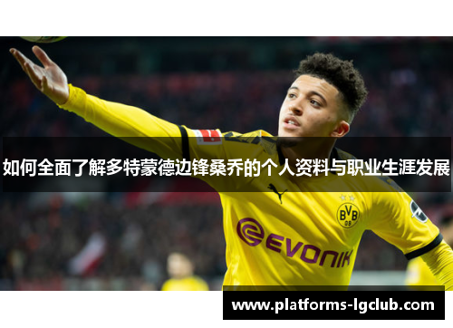 如何全面了解多特蒙德边锋桑乔的个人资料与职业生涯发展 如何全面了解多特蒙德边锋桑乔的个人资料与职业生涯发展