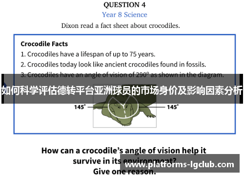 如何科学评估德转平台亚洲球员的市场身价及影响因素分析 如何科学评估德转平台亚洲球员的市场身价及影响因素分析